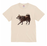 【Tシャツ】お散歩柴犬（3種類）