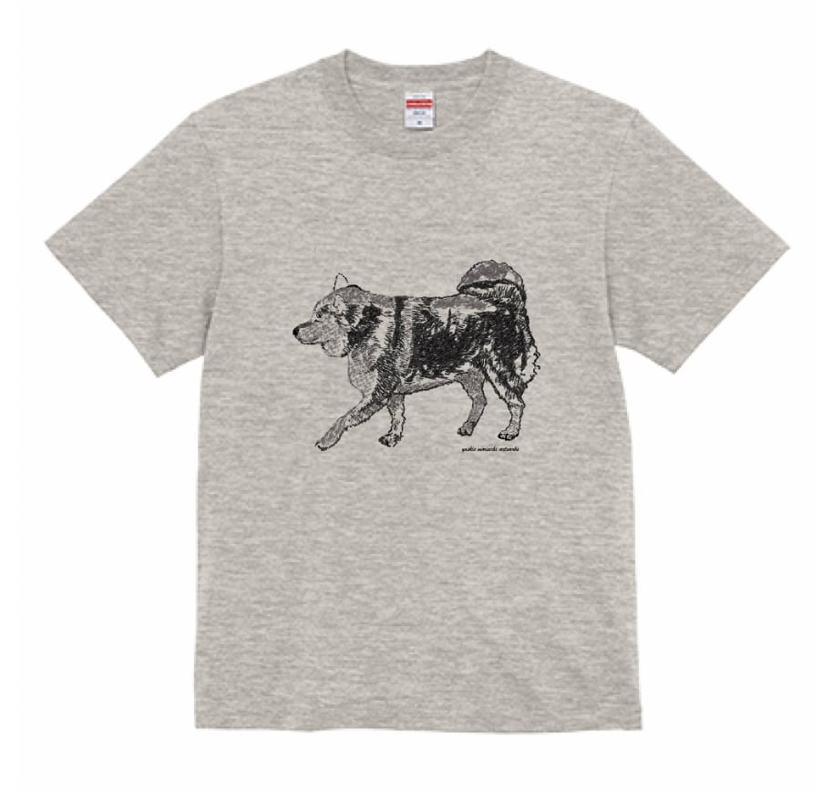 【Tシャツ】お散歩柴犬（3種類）