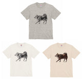 【Tシャツ】お散歩柴犬（3種類）