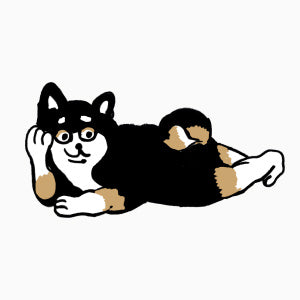 寝そべる黒柴